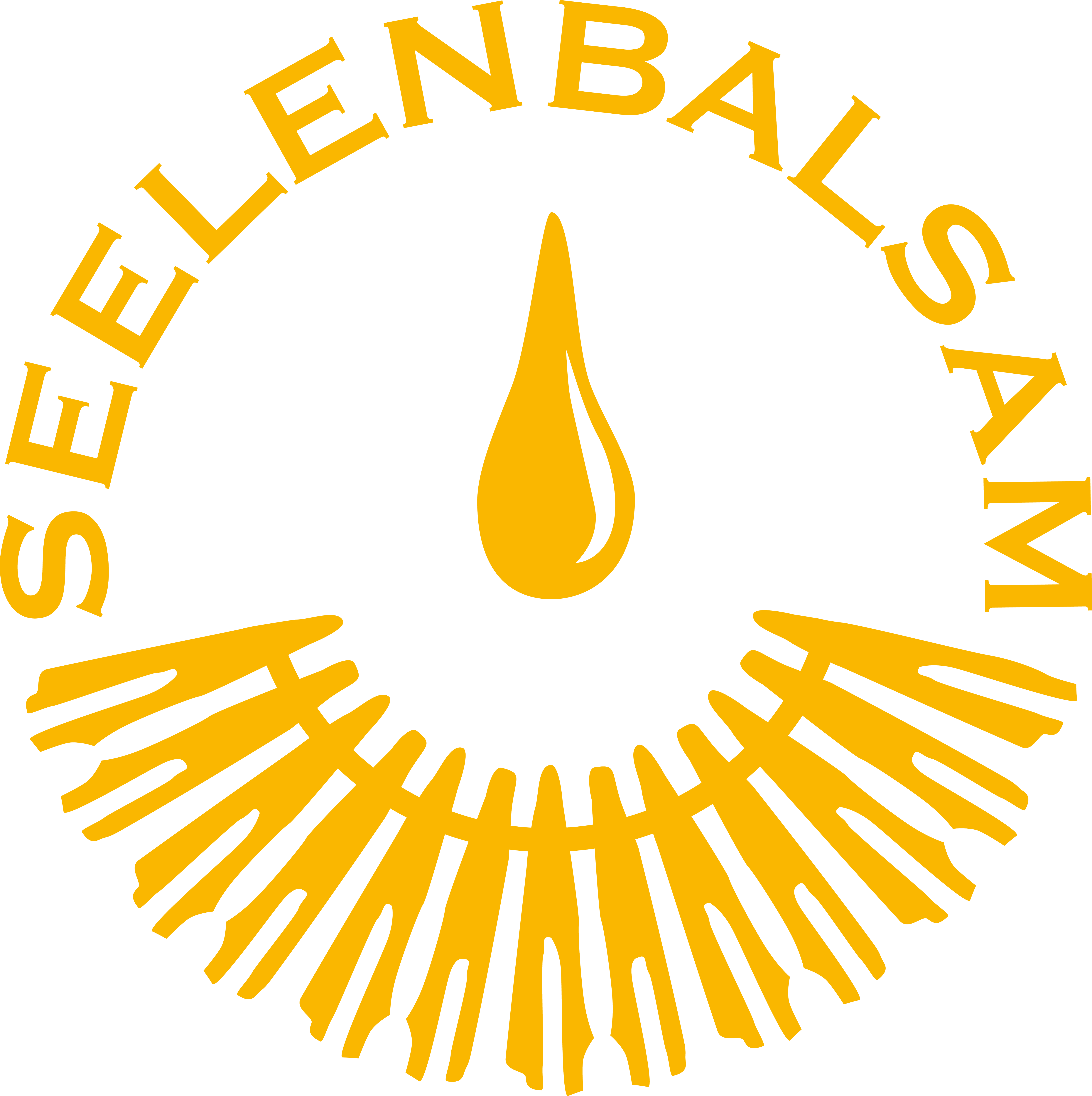 Seelenbalsam Logo